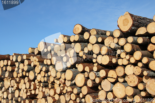 Image of Cut Wooden Logs and Blue Sky