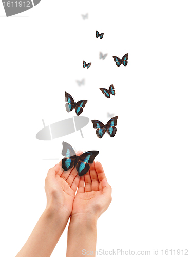 Image of Hands with Butterflies