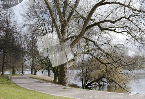 Image of park view