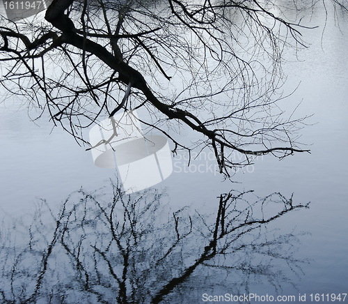 Image of  reflection
