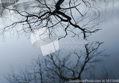 Image of reflection