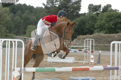 Image of Horse and rider jumping