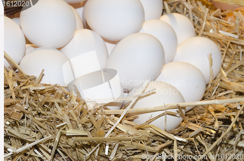 Image of white eggs