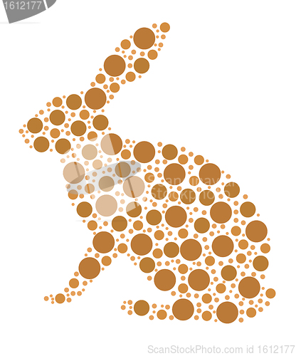 Image of Rabbit Illustration