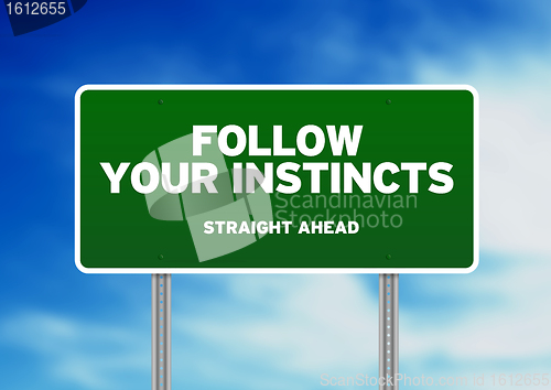Image of Green Road Sign - Follow Your Instincts