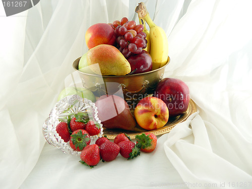 Image of Fruit Harvest