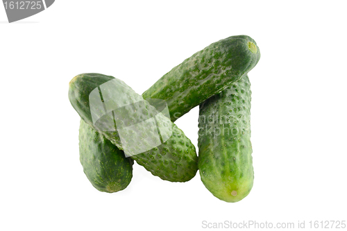 Image of Cucumber vegetable isolated on white background