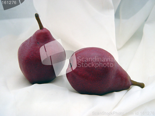 Image of Red Bosch Pears