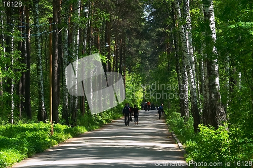 Image of People in park