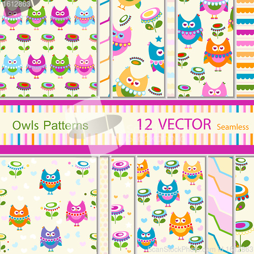Image of owls patterns