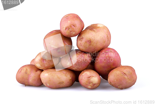 Image of Fresh potatoes