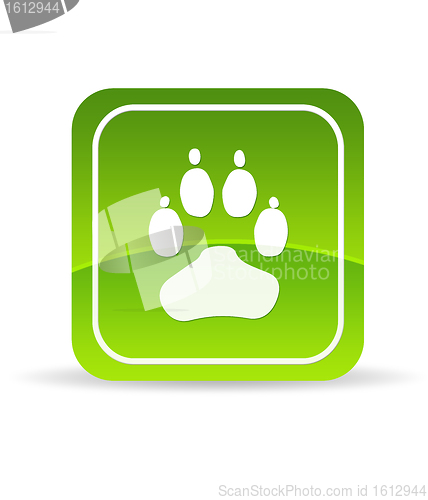 Image of Green Animal Paw Icon