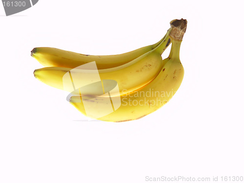 Image of Bunch of Bananas