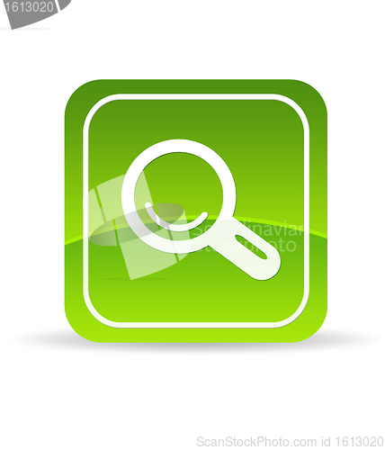 Image of Green Magnifying Glass Icon