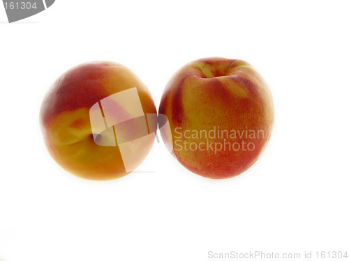 Image of Two Nectarines