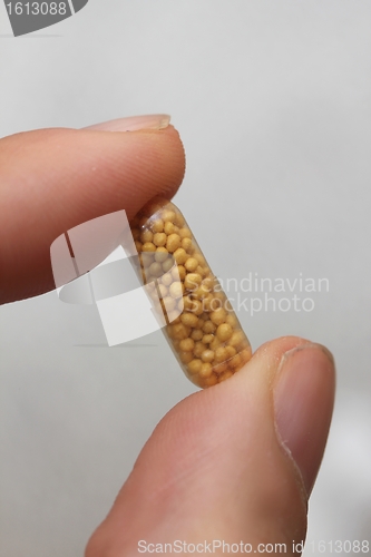 Image of the capsule in hands