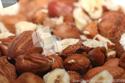 Image of Hazelnuts