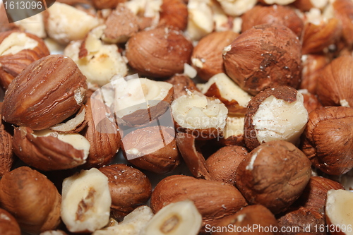 Image of Hazelnuts