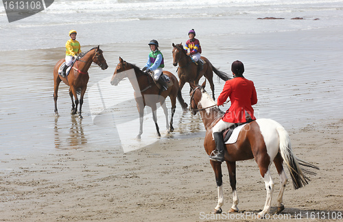 Image of Castlepoint race meeting
