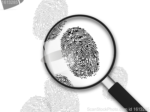 Image of Magnifying Glass - Finger Prints