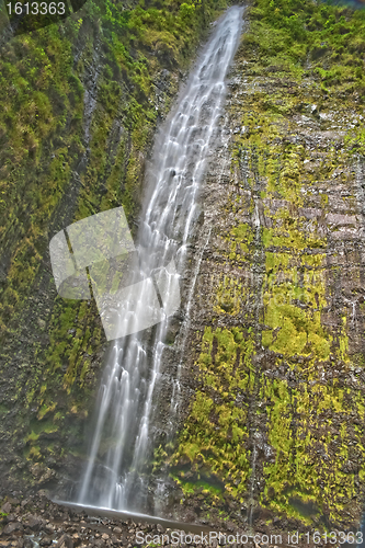 Image of Waimoku Falls in Maui Hawaii