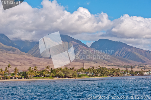 Image of Maui Shore