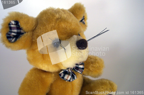 Image of toy bear with bowtie