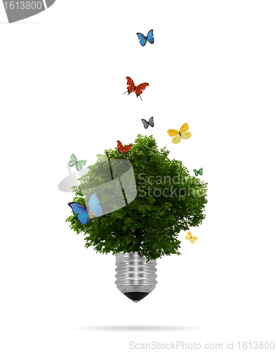 Image of eco concept: Lightbulb with tree growing inside 