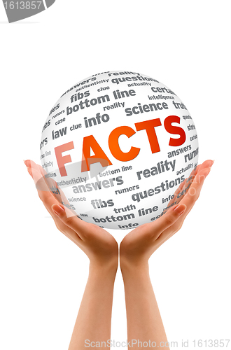 Image of Hands holding a Facts Sphere