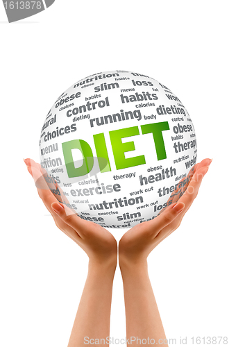 Image of Hands holding a Diet Sphere