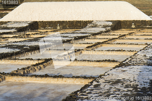 Image of Salt marsh