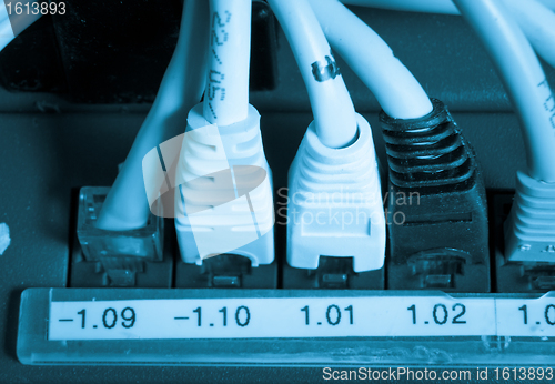 Image of network cables