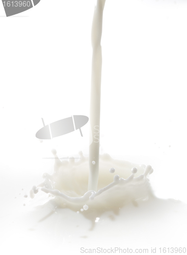 Image of milk splash