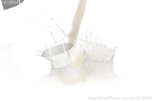 Image of milk splash