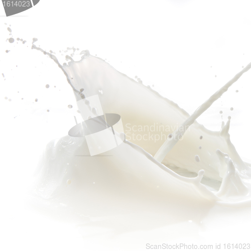 Image of milk splash