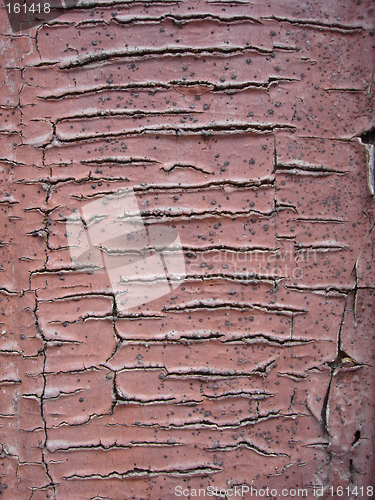 Image of paint texture