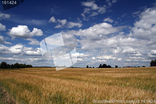 Image of Landscape