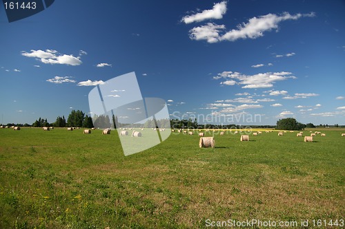 Image of Landscape