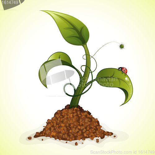 Image of Green Sprout