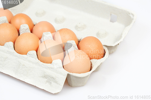 Image of Fresh eggs in carton box