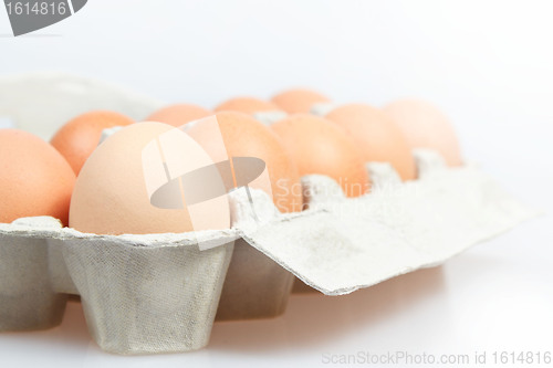 Image of Fresh eggs in carton box