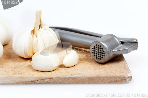 Image of Fresh garlic and chrome steel press