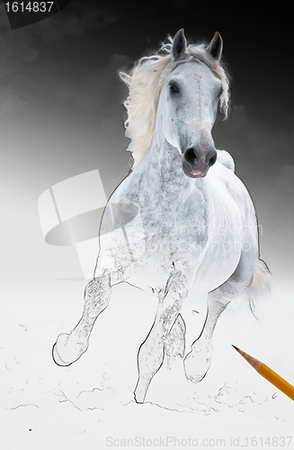 Image of runs white horse get living from arts scetch