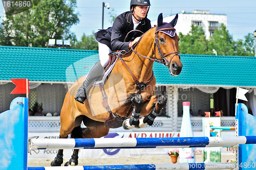 Image of Rider on jump horse