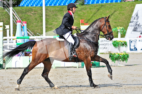 Image of Rider on show jump horse