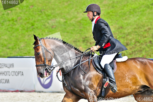 Image of Rider on show jump horse