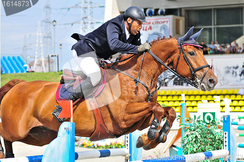 Image of Rider on show jump horse