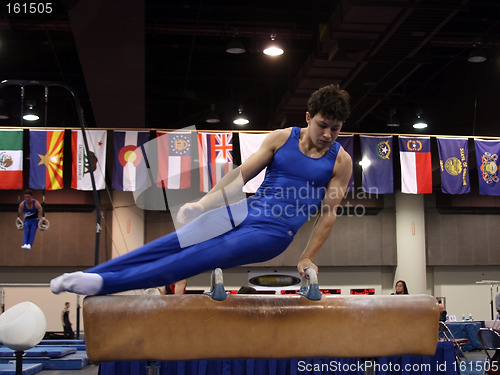 Image of Gymnast on pommel