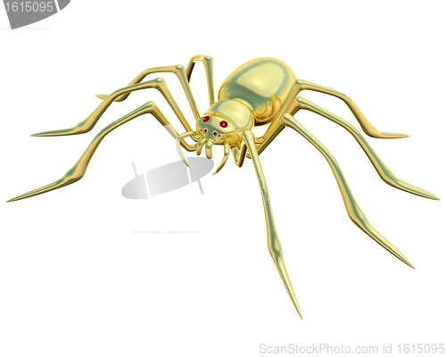 Image of Gold spider