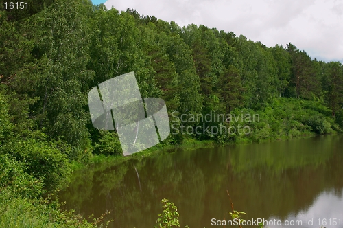 Image of Lake and forest